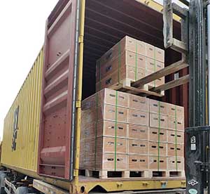 FCL sea shipment container loading